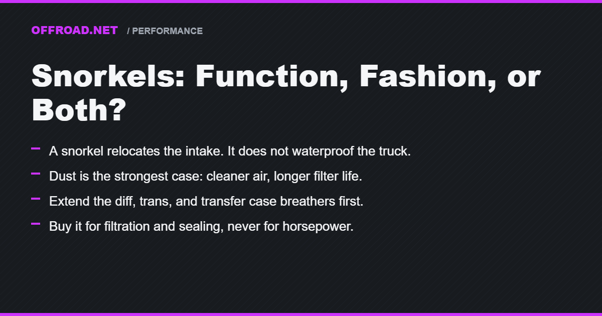 Snorkels: Function, Fashion, or Both?